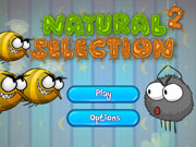 Игра Естественный отбор Игра Естественный отбор